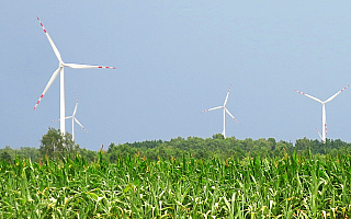 Mieszkańcy WiM chcą korzystać z odnawialnych źródeł energii